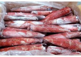 1-frozen-on-boat-whole-round-squid-1024x683