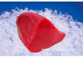 14-frozen-yellowfin-tuna-fillet-chunk-1024x682