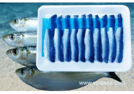 17-frozen-sardine-fillet-1024x682