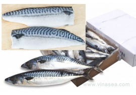 2-frozen-mackerel-kirimi-1024x683_14211