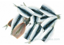 3-frozen-sardine-hiraki