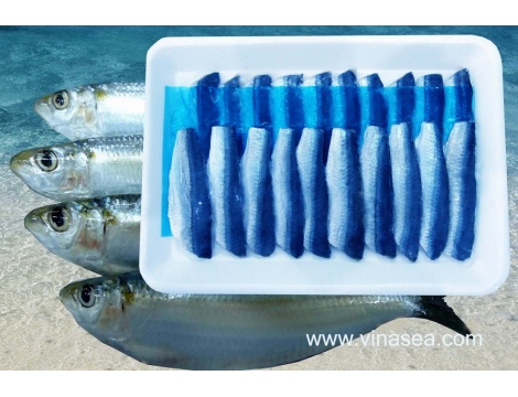 17-frozen-sardine-fillet-1024x682