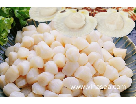 8-frozen-scallop-meat-1024x681